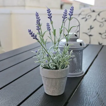 Nada Apartment *